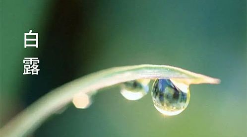 二十四節(jié)氣-白露 | 白露至,秋實美【杭州易造】