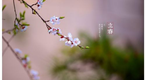 立春|一年四季春為首，莫負春日好時光——【易造科技】