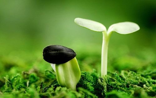 二十四節(jié)氣 | 驚蟄到，春意濃【杭州易造】