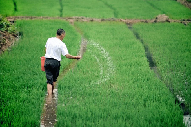 立夏六｜春光忽盡，夏木成陰【杭州易造】