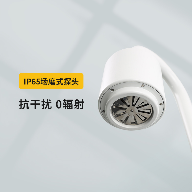 雷電預(yù)警系統(tǒng)-IP65場(chǎng)磨式探頭 雷電預(yù)警系統(tǒng)-IP65場(chǎng)磨式探頭