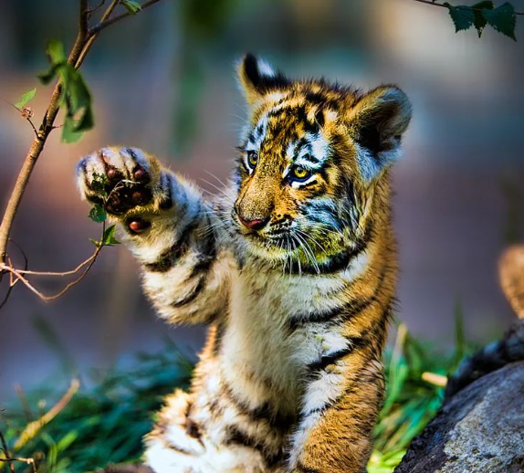 驚蟄-叫醒甜睡的春-易造防雷